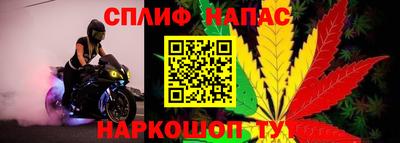 дмт Гусев