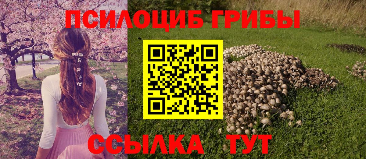 Галлюциногенные грибы прущие грибы  Вход с VPN  Михайловск 